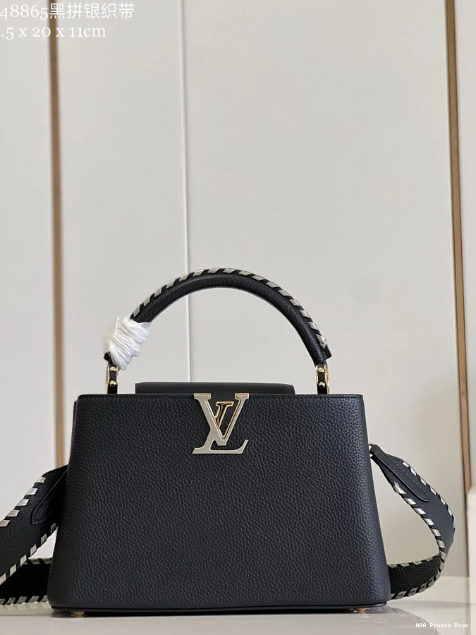 AAA Pruses Bags LOUIS VUITTON MM CAPUCINES 0814